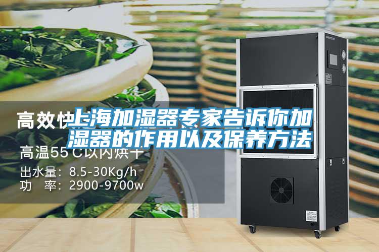 上海加湿器专家告诉你加湿器的作用以及保养方法