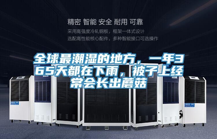 全球最潮湿的地方，一年365天都在下雨，被子上经常会长出蘑菇