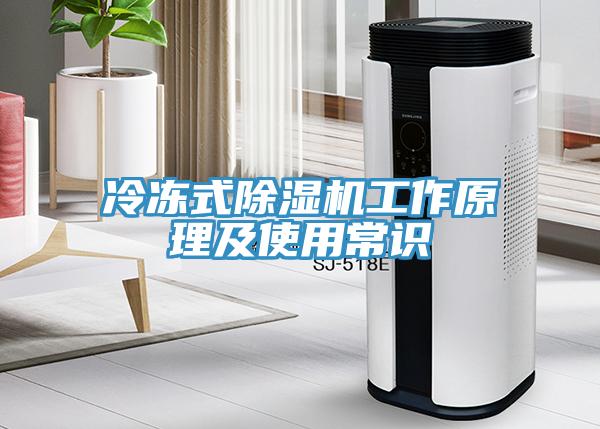 冷冻式除湿机工作原理及使用常识