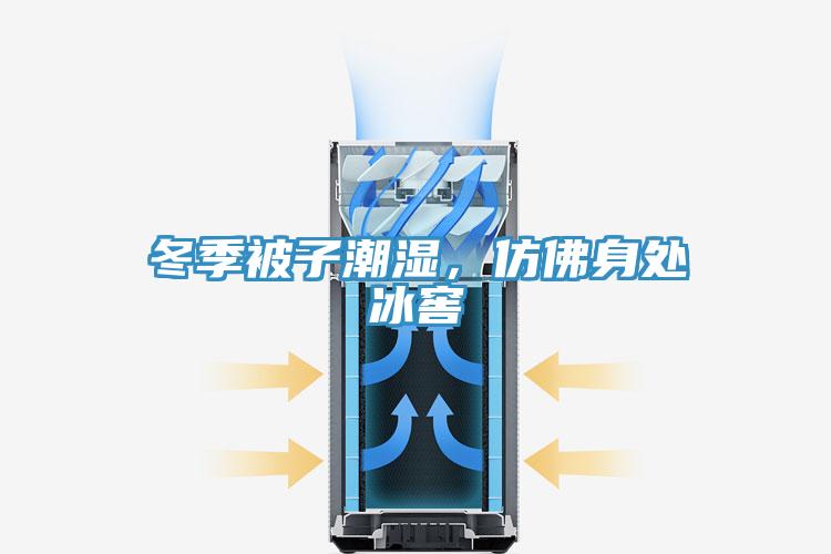 冬季被子潮湿，仿佛身处冰窖