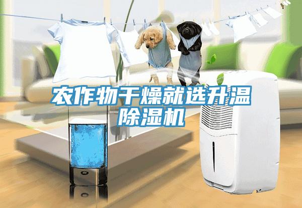 农作物干燥就选升温除湿机
