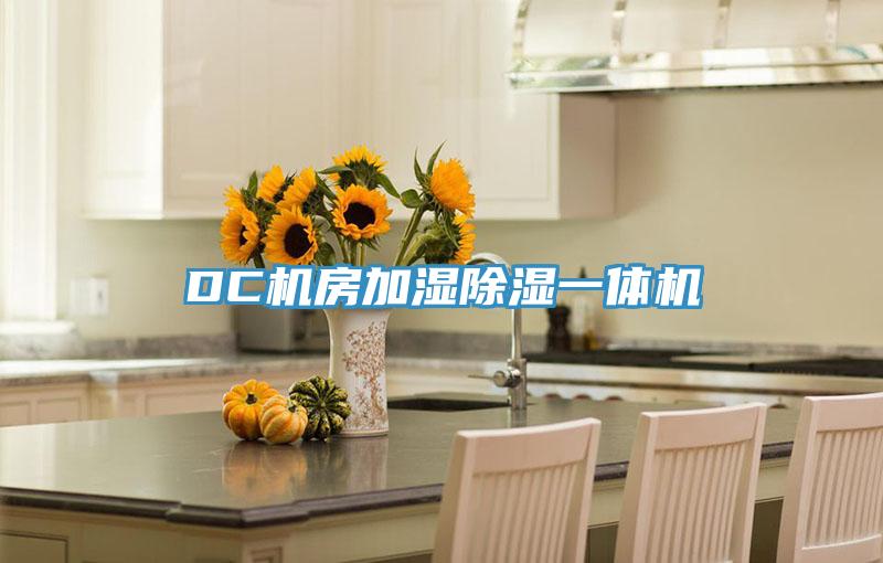 DC机房加湿除湿一体机