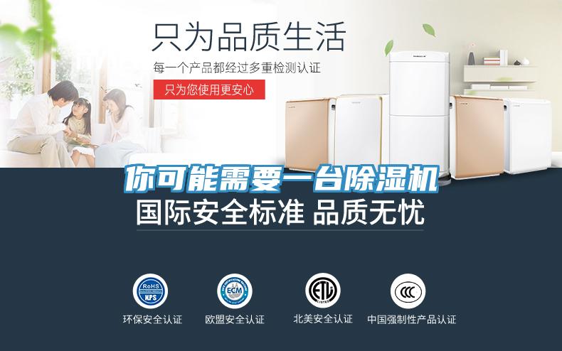 你可能需要一台除湿机