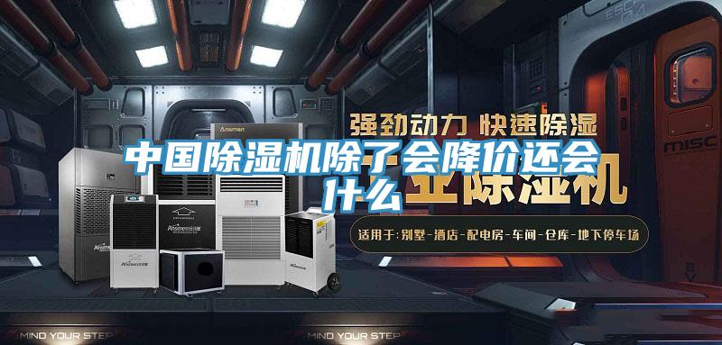 中国除湿机除了会降价还会什么
