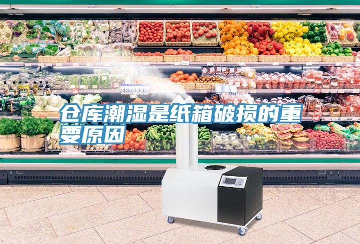 仓库潮湿是纸箱破损的重要原因