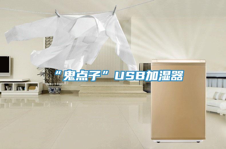 “鬼点子”USB加湿器