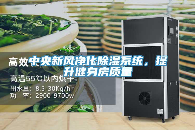 中央新风净化除湿系统，提升健身房质量