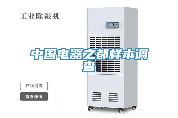 中国电器之都样本调查