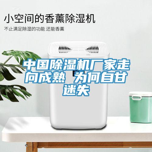 中国除湿机厂家走向成熟 为何自甘迷失