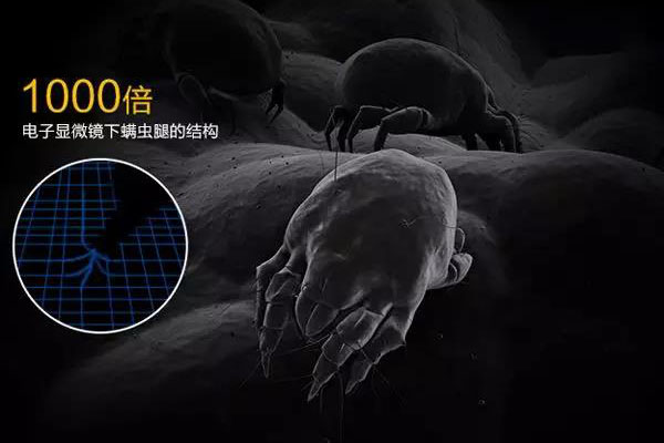 1562399919.jpg 微信图片_20190706155720.jpg