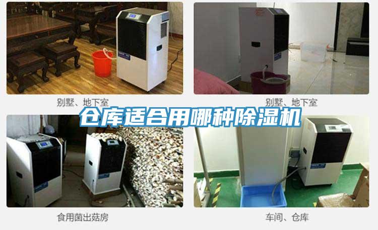 仓库适合用哪种除湿机