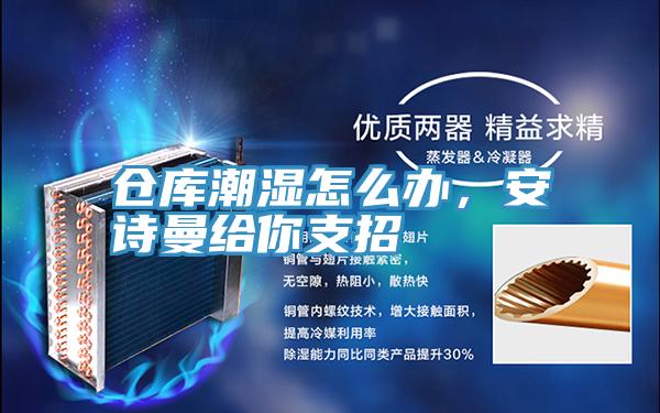 仓库潮湿怎么办，安诗曼给你支招