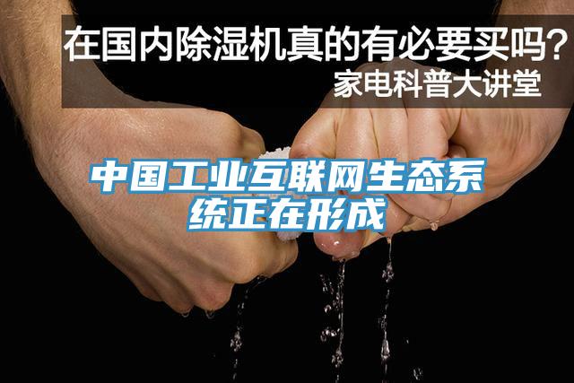 中国工业互联网生态系统正在形成