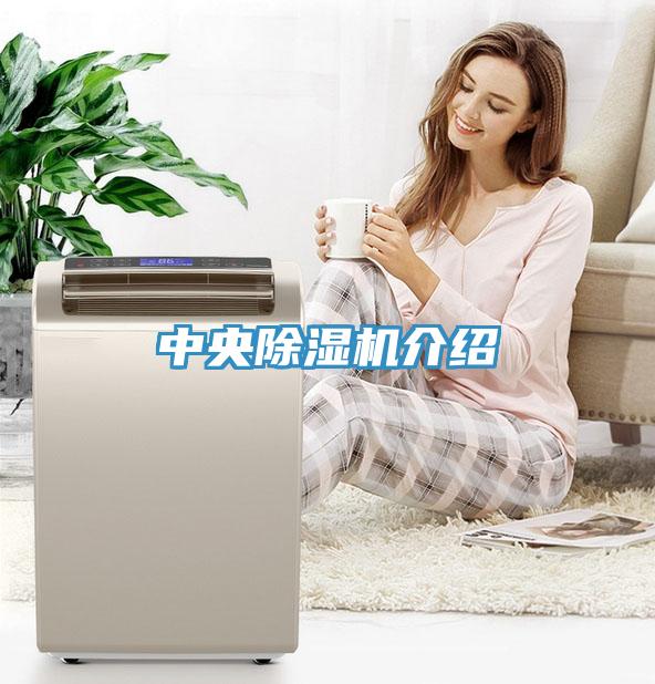 中央除湿机介绍