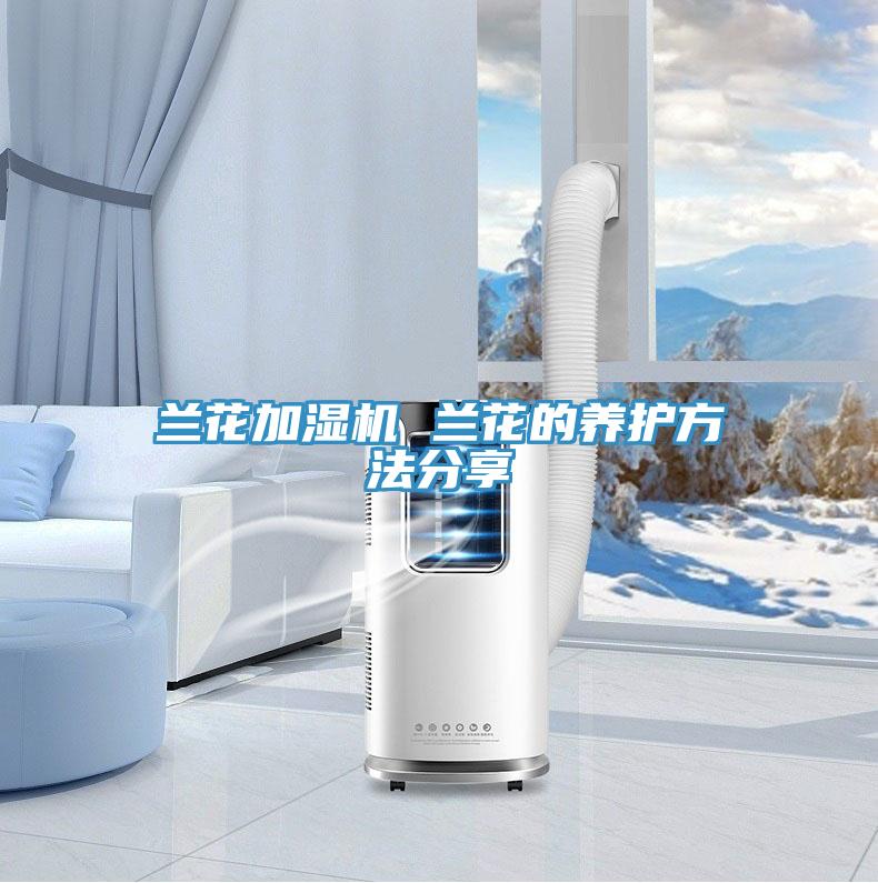 兰花加湿机 兰花的养护方法分享