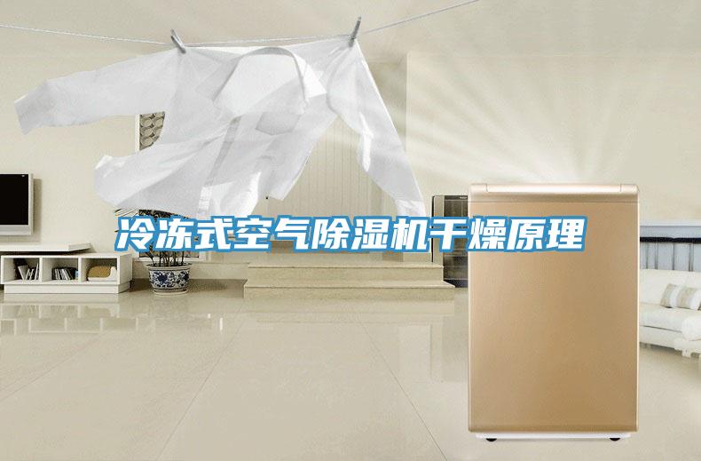 冷冻式空气除湿机干燥原理
