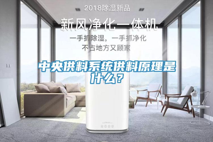 中央供料系统供料原理是什么？