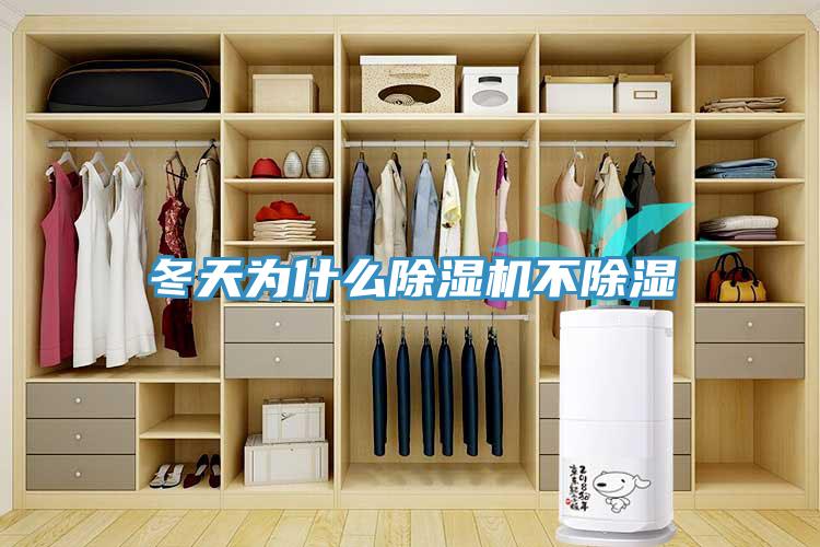 冬天为什么除湿机不除湿