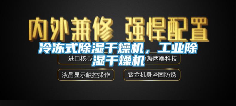 冷冻式除湿干燥机，工业除湿干燥机