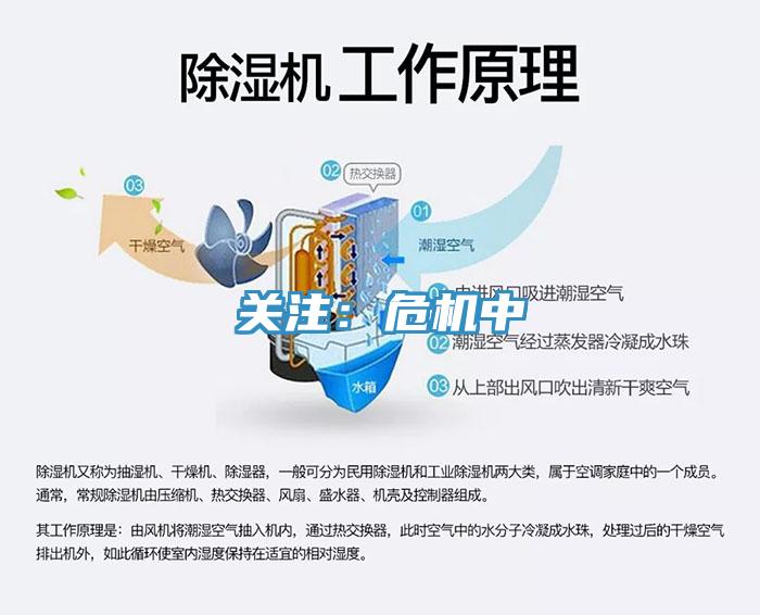 关注：危机中