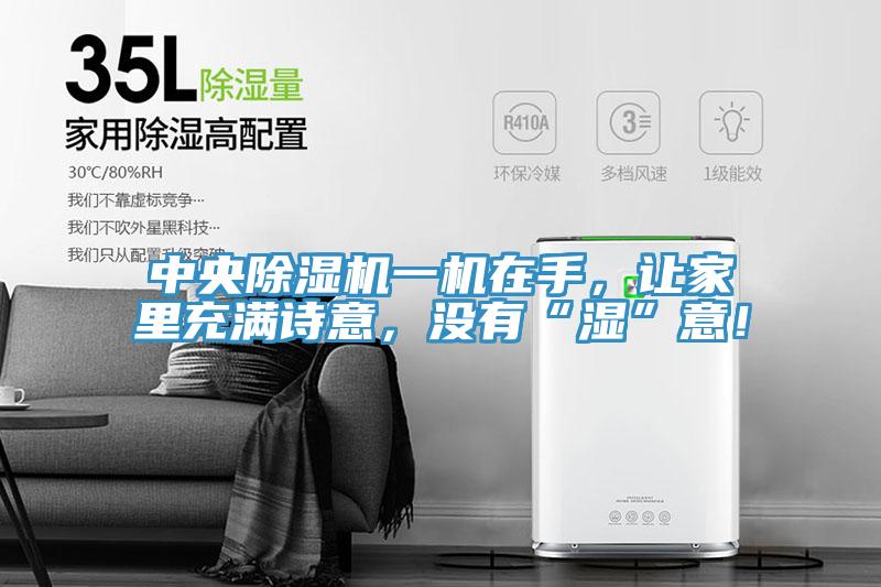 中央除湿机一机在手，让家里充满诗意，没有“湿”意！