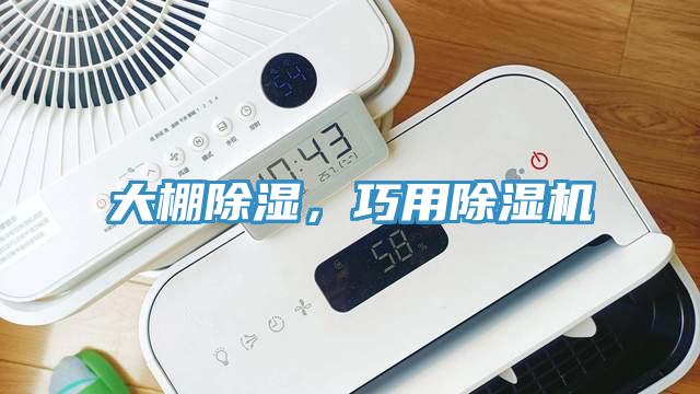 大棚除湿，巧用除湿机