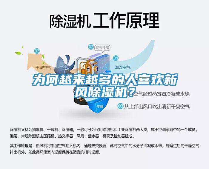 为何越来越多的人喜欢新风除湿机？