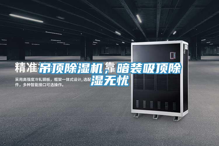 吊顶除湿机,暗装吸顶除湿无忧