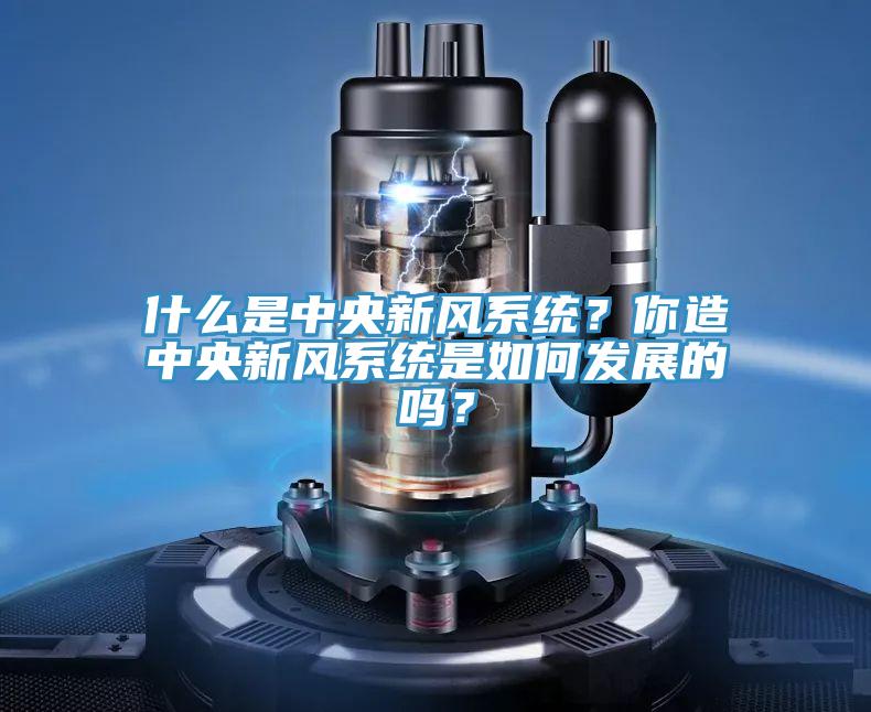 什么是中央新风系统？你造中央新风系统是如何发展的吗？