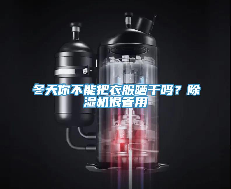 冬天你不能把衣服晒干吗？除湿机很管用