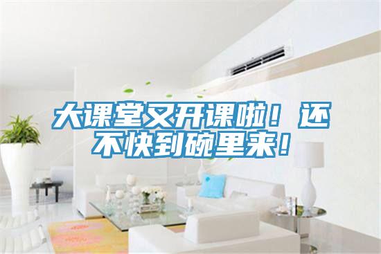 大课堂又开课啦！还不快到碗里来！