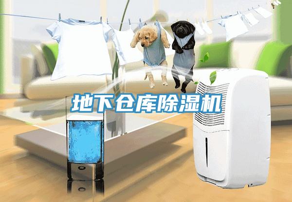 地下仓库除湿机