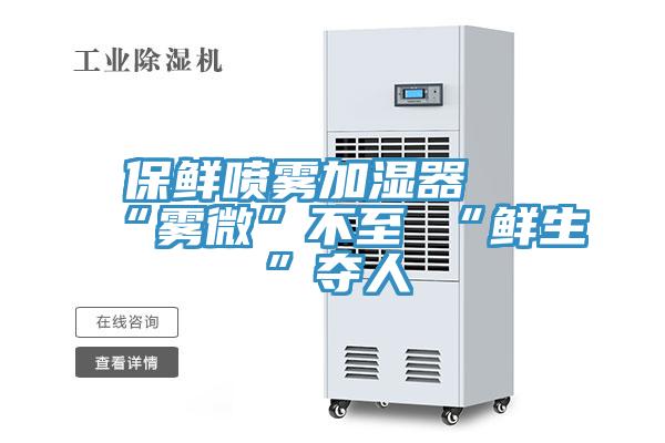 保鲜喷雾加湿器 “雾微”不至 “鲜生”夺人