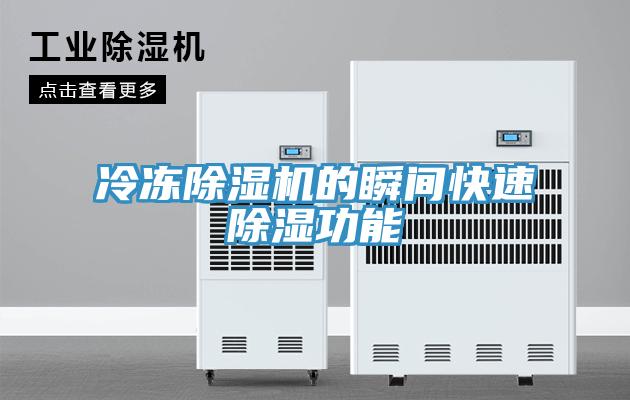 冷冻除湿机的瞬间快速除湿功能