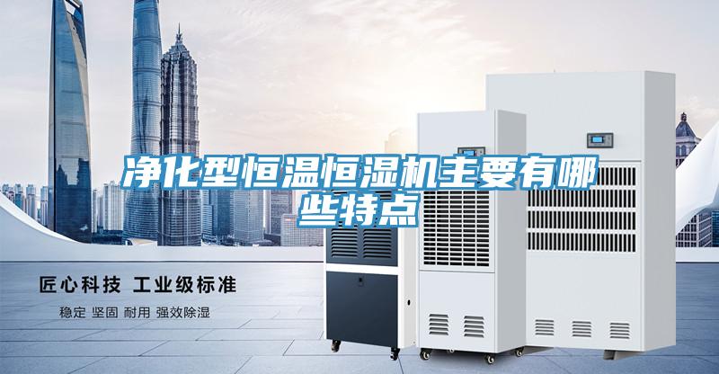 净化型恒温恒湿机主要有哪些特点
