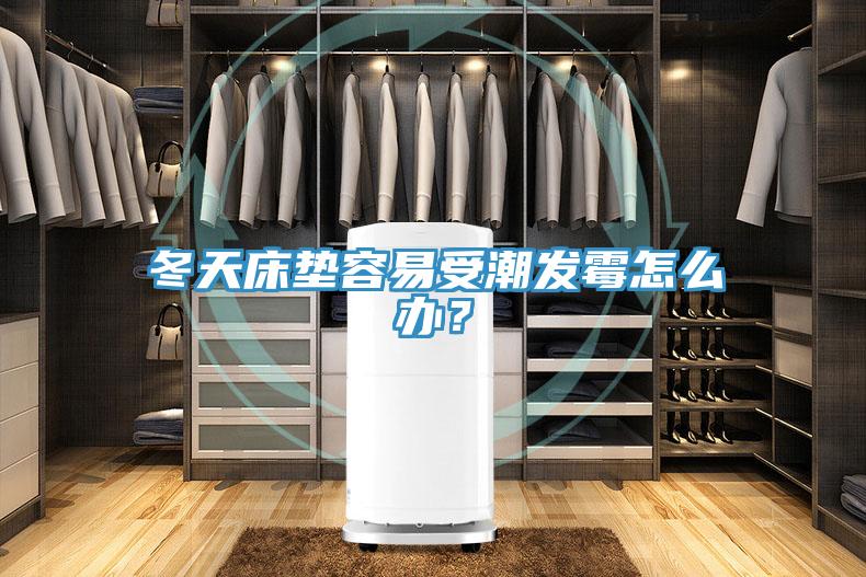 冬天床垫容易受潮发霉怎么办？
