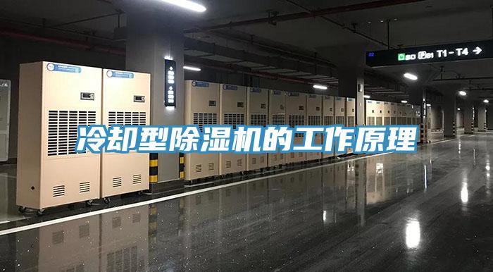 冷却型除湿机的工作原理