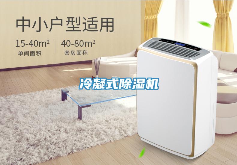冷凝式除湿机