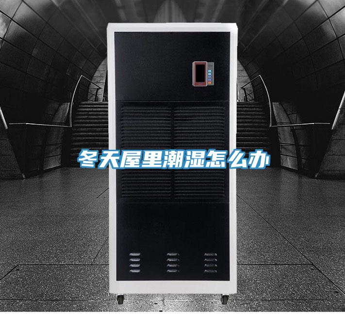 冬天屋里潮湿怎么办