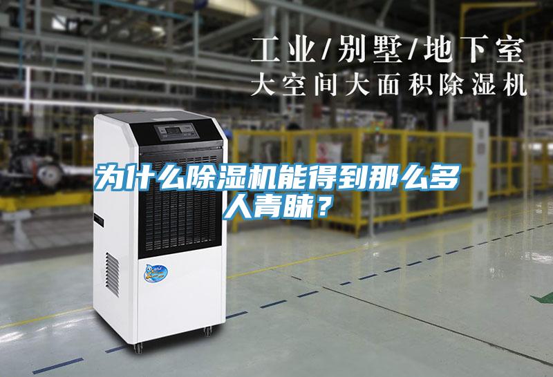 为什么除湿机能得到那么多人青睐？