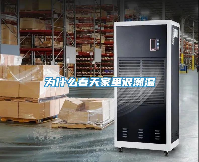 为什么春天家里很潮湿