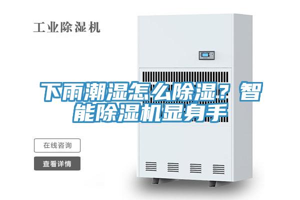 下雨潮湿怎么除湿？智能除湿机显身手