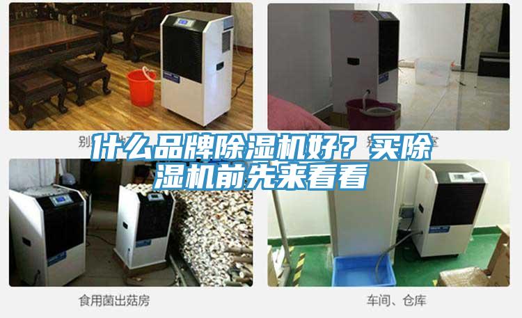 什么品牌除湿机好？买除湿机前先来看看