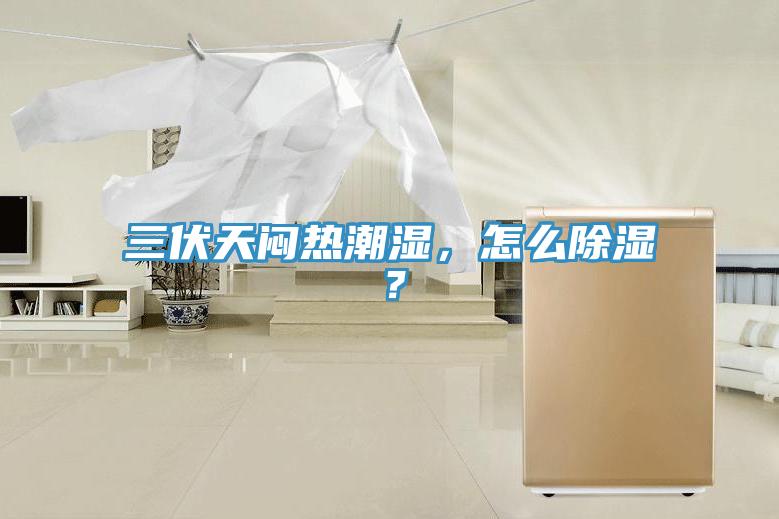 三伏天闷热潮湿，怎么除湿？