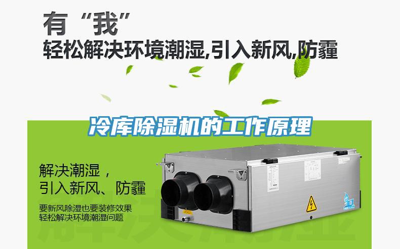 冷库除湿机的工作原理