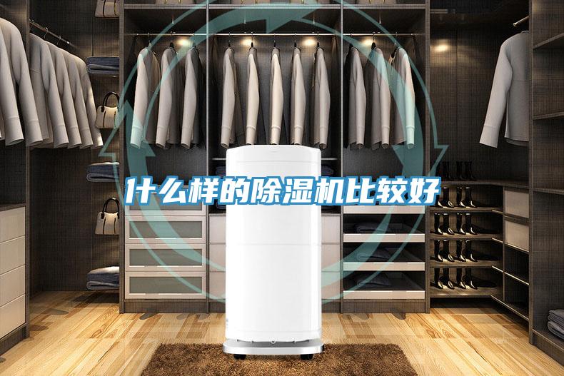 什么样的除湿机比较好