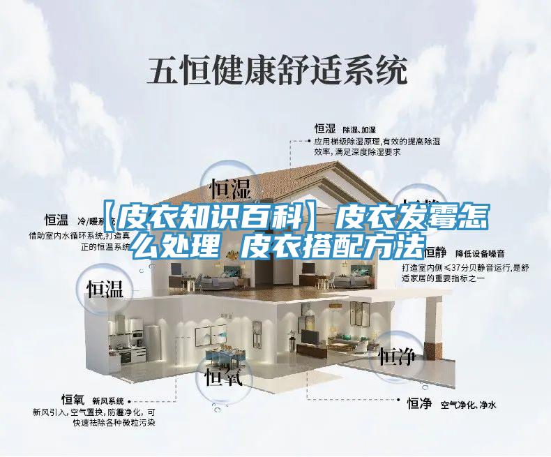 【皮衣知识百科】皮衣发霉怎么处理 皮衣搭配方法