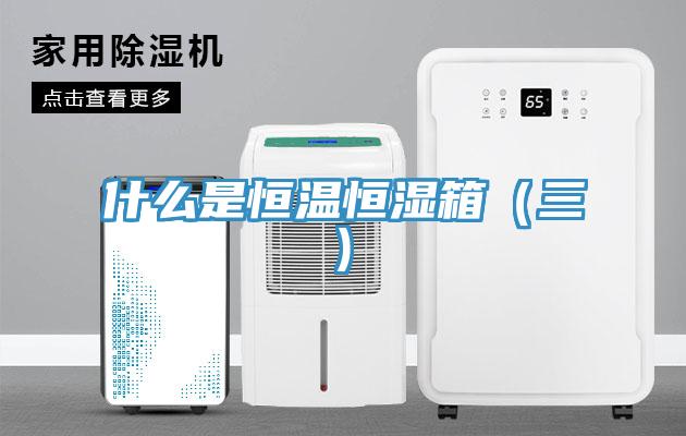 什么是恒温恒湿箱（三)