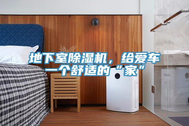 地下室除湿机，给爱车一个舒适的“家”