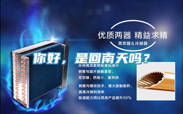 你好，是回南天吗？